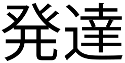 Desarrollo